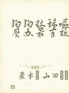 狗狗拉稀呕吐怎么办最有效的方法