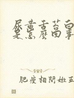 尿黄舌苔白口苦是怎么回事