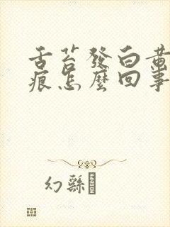 舌苔发白黄有齿痕怎么回事