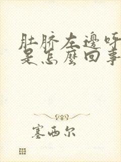 肚脐左边呼吸疼是怎么回事封面