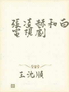 张凌赫和白鹿的电视剧封面