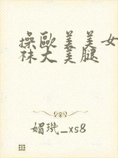 操欧美美女的丝袜大美腿