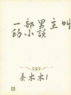 一部男主叫林森的小说