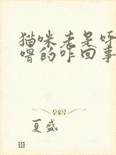 猫咪老是呼噜呼噜的咋回事封面