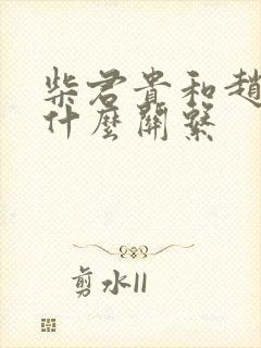 柴君贵和赵匡胤什么关系封面