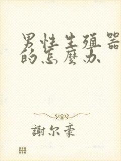 男性生殖器是弯的怎么办