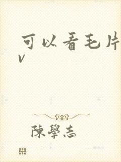 可以看毛片的av