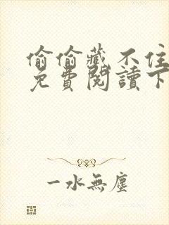 偷偷藏不住小说免费阅读下拉