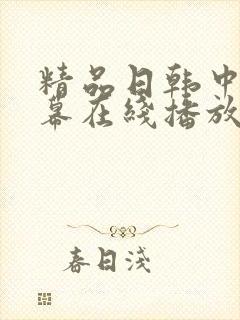 精品日韩中文字幕在线播放