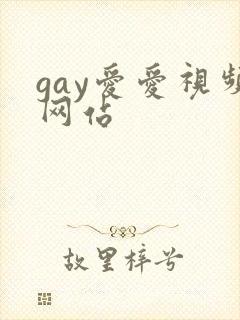 gay爱爱视频网站