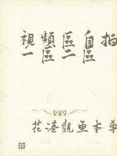 视频区自拍偷拍一区二区