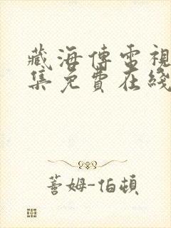 藏海传电视剧全集免费在线观看封面