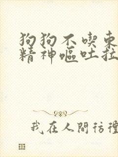 狗狗不吃东西没精神呕吐拉稀