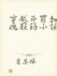 穿越斗罗加入武魂殿的小说