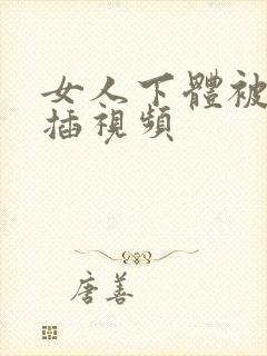 女人下体被男人插视频