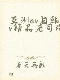 亚洲av日韩av精品老司机