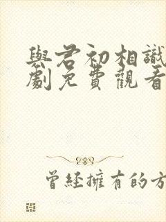 与君初相识电视剧免费观看完整版封面