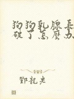 狗狗乳腺长有瘤破了怎么办