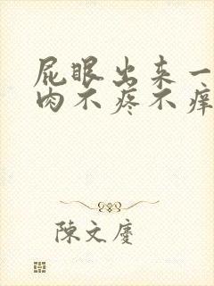 屁眼出来一疙瘩肉不疼不痒封面