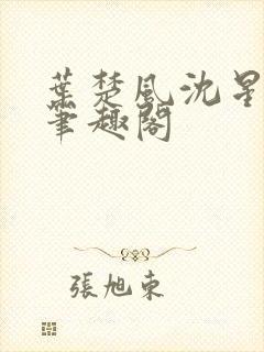 叶楚风沈星岚2笔趣阁封面