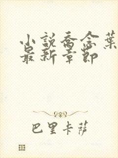 小说乔念叶妄川最新章节