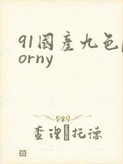 91国产九色porny