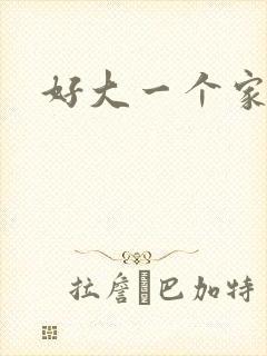 好大一个家免费