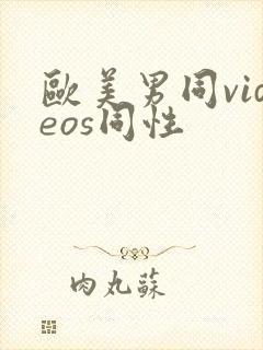 欧美男同videos同性