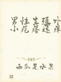 男性生殖外皮有小疙瘩还痒