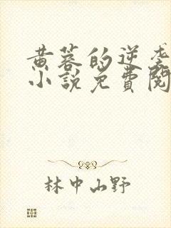 黄蓉的逆袭张妈小说免费阅读封面