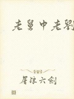 老舅中老刘结局