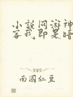 小说网游神级刺客我即是暗影