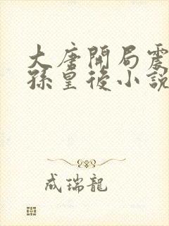 大唐开局震惊长孙皇后小说txt全文下载