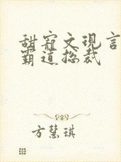 甜宠文现言推荐霸道总裁封面