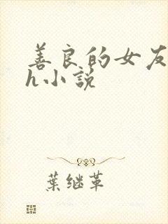 善良的女友被强h小说封面