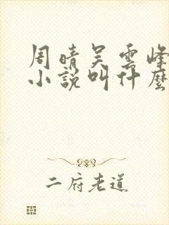 周晴吴云峰李磊小说叫什么