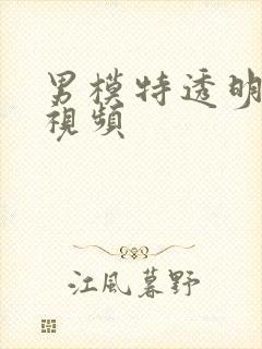 男模特透明内裤视频