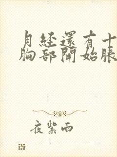 月经还有十天来胸部开始胀正常吗