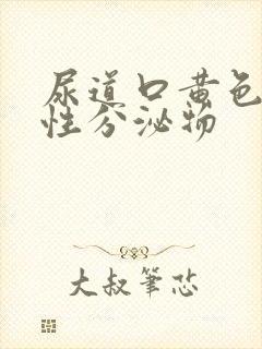 尿道口黄色液体性分泌物