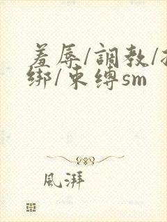 羞辱/调教/捆绑/束缚sm