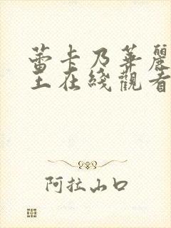 蕾卡乃华丽我女王在线观看