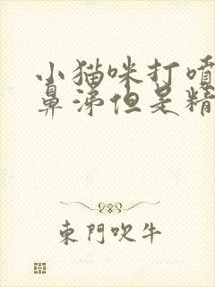 小猫咪打喷嚏流鼻涕但是精神状态还可以