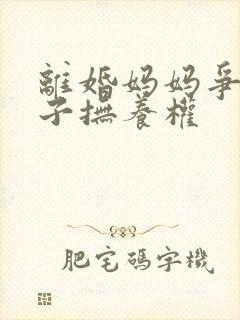 离婚妈妈争取孩子抚养权