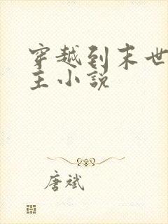 穿越到末世的女主小说