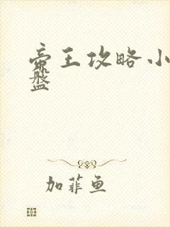 帝王攻略小说网盘