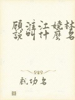 顾淮江娆林澈小说叫什么名字