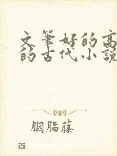 文笔好的高质量的古代小说言情封面