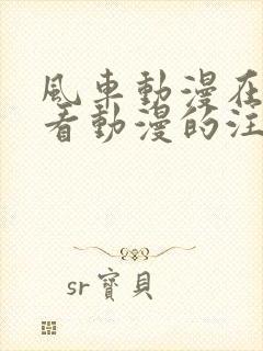 风车动漫在线观看动漫的注意事项