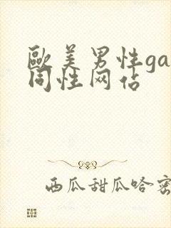 欧美男性gay同性网站