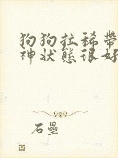 狗狗拉稀带血精神状态很好